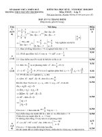Đáp án đề thi Đề thi học kì 2 môn toán học lớp 9, trường THCS Nguyễn Chi Phương, Sở GD&ĐT Thừa Thiên Huế 2018-2019 - Học Toàn Tập