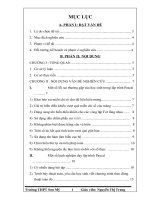 skkn một số lưu ý khi dạy lập trình pascal cho học sinh lớp 11 