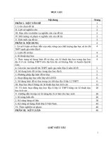 skkn giải pháp nâng cao chất lượng dạy học, ôn thi THPT quốc gia môn địa lí 