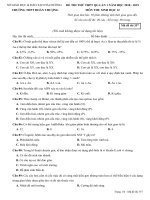 Đề thi thử THPT Quốc Gia 2019 Sinh học Đoàn Thượng, Hải dương lần 1 mã đề 357 - Học Toàn Tập