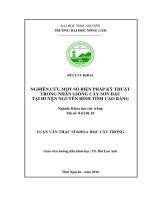 Nghiên cứu một số biện pháp kỹ thuật trong nhân giống cây Sơn đậu tại huyện Nguyên Bình tỉnh Cao Bằng