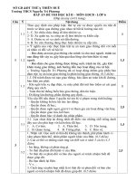 Đáp án đề thi Đề thi học kì 2 môn GDCD lớp 6, trường THCS Nguyễn Chi Phương, Sở GD&ĐT Thừa Thiên Huế 2018-2019 - Học Toàn Tập