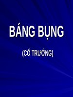 BÁNG BỤNG (cổ TRƯỚNG) (nội) (chữ biến dạng do slide dùng font VNI times, tải về xem bình thường) 