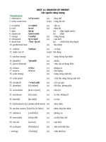 ANH VĂN 11 - UNIT 11: SOURCES OF ENERGY