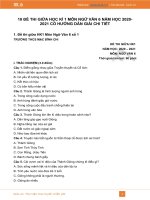 10 đề thi giữa Học kì 1 môn Ngữ văn 6 năm 2020 có đáp án