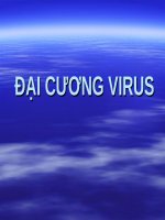 ĐẠI CƯƠNG VIRUS (VI SINH) 