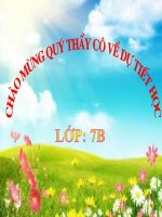 BÀI GIẢNG TIN 6-  BÀI THỰC HÀNH 8: AI LÀ NGƯỜI HỌC GIỎI?