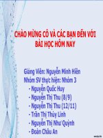 TIẾN TRÌNH VÀ MÔ HÌNH TIẾN TRÌNH PHÁT TRIỂN PHẦN MỀM