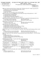 Đề thi thử THPT Lịch sử 2019 sở GD&ĐT Vĩnh Phúc mã đề 117 - Học Toàn Tập