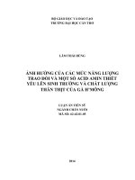 Ảnh hưởng của các mức năng lượng trao đổi và một số acid amin thiết yếu lên sinh trưởng và chất lượng thân thịt của gà h’mông 