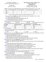 Đề thi thử THPT Địa lí 2019 trường Nguyễn Viết Xuân Vĩnh Phúc lần 1 mã đề 302 - Học Toàn Tập