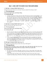 Giải bài tập SGK Sinh học 10 Bài 1: Các cấp tổ chức của thế giới sống