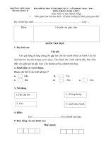 Đề KT Tiếng việt 1 HK 1- Lớp 1