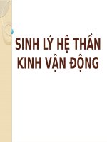 SINH lý hệ THẦN KINH vận ĐỘNG (SINH lý) (chữ biến dạng do slide dùng font VNI times, tải về xem bình thường) 
