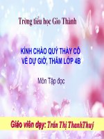 Tập đọc: ĐÔI GIÀY BA TA MÀU XANH