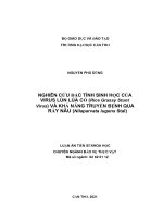 Nghiên cứu đặc tính sinh học của virus lùn lúa cỏ (rice grassy stunt virus) và khả năng truyền bệnh qua rầy nâu (nilaparvata lugens stal) 