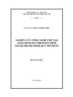 Nghiên cứu công nghệ chế tạo nam châm đất hiếm kết dính nguội nhanh ndfeb quy mô pilot