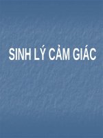 SINH lý cảm GIÁC (SINH lý) (chữ biến dạng do slide dùng font VNI times, tải về xem bình thường) 