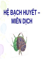 HỆ BẠCH HUYẾT, MIỄN DỊCH (SLB và MD) (chữ biến dạng do slide dùng font VNI times, tải về xem bình thường) 