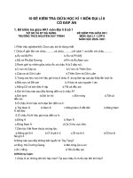 10 đề thi giữa HK1 môn Địa lí lớp 8 năm 2020 có đáp án