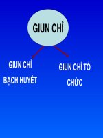 GIUN CHỈ (ký SINH TRÙNG) (chữ biến dạng do slide dùng font VNI times, tải về xem bình thường) 