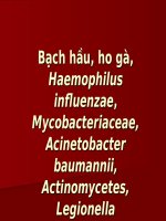 Bạch hầu, ho gà, haemophilus influenzae, mycobacteriaceae, acinetobacter baumannii, actinomycetes, legionella (VI SINH) 