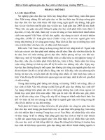 Sáng kiến kinh nghiệm 