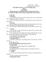 Giáo án Hoạt động NGLL chủ điểm tháng 11 