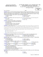 Đề thi thử THPT GDCD 2019 Trường Yên Lạc 2, Vĩnh Phúc lần 1 mã đề 628 - Học Toàn Tập