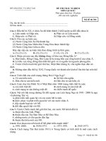 Đề thi thử THPT Lịch sử 2019 trường Nguyễn Viết Xuân Vĩnh Phúc lần 1 mã đề 306 - Học Toàn Tập