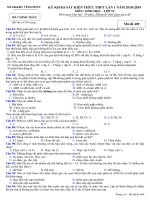 Đề thi thử THPT Sinh học 2019 sở GD&ĐT Vĩnh Phúc mã đề 409 - Học Toàn Tập