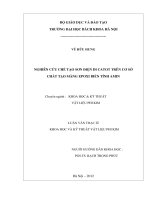 Nghiên cứu chế tạo sơn điện di Catot trên cơ sở chất tạo mạng Epoxi biến tính amin