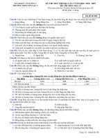 Đề thi thử THPT Địa lí 2019 Trường Yên Lạc 2, Vĩnh Phúc lần 1 mã đề 485 - Học Toàn Tập