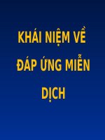 KHÁI NIỆM về đáp ỨNG MIỄN DỊCH (SLB và MD) (chữ biến dạng do slide dùng font VNI times, tải về xem bình thường) 