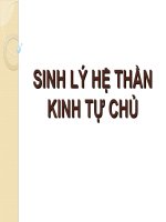SINH lý hệ THẦN KINH tự CHỦ (SINH lý) (chữ biến dạng do slide dùng font VNI times, tải về xem bình thường) 