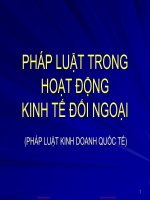 slide pháp luật kinh doanh quốc tế   pháp luật tronh kinh tế đối ngoại 
