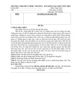 Đề kiểm tra 1 tiết HK2 môn Ngữ văn lớp 6 năm 2019-2020 - TH&THCS Triệu Thượng