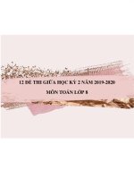 12 Đề thi giữa HK2 môn Toán lớp 8 năm 2019-2020