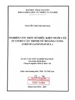Nghiên cứu một số điều kiện nuôi cấy in vitro cây trinh nữ hoàng cung Crium Latifolium L