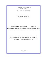 Luận văn thạc sĩ phát triển kinh tế tư nhân ở thành phố huế, tỉnh thừa thiên huế 