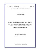 Nghiên cứu tính an toàn và hiệu quả của cắt đốt nhịp nhanh kịch phát trên thất bằng năng lượng có tần số radio qua catheter ở trẻ em