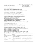 Đề thi giữa HK2 môn Lịch sử lớp 8 năm 2019-2020 có đáp án - THCS Đăk Kroong