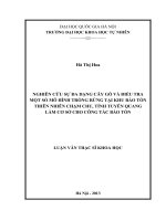 Nghiên cứu sự đa dạng cây gỗ và điều tra một số mô hình trồng rừng tại khu Bảo tồn thiên nhiên Chạm Chu tỉnh Tuyên Quang làm cơ sở cho công tác bảo tồn