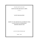 Nghiên cứu tổng hợp một số acetophenon tetra O acetyl β D galactopyranossyl thiosemicarbazon thế