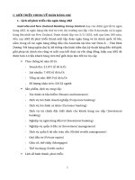 Phân tích chiến lược kinh doanh quốc tế của ngân hàng ANZ