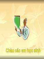 slide bài giảng sinh học 11 tiết 09 quang hợp ở nhóm thực vật c3 c4 và CAM 