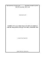 (Luận văn thạc sĩ) Nghiên cứu giải pháp xử lý móng công trình tổ hợp không gian khoa học Quy Hòa