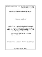 Tóm tắt luận án Tiến sĩ Công nghệ sinh học: Nghiên cứu tạo oligochitosan-silica nano và khảo sát tính kích kháng bệnh thán thư do nấm Colletotrichum spp. gây hại cây ớt (Capsicum