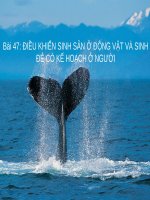 slide bài giảng sinh học 11 tiết 47 điểu khiển sinh sản ở động vật và sinh để có kế hoạch ở người 