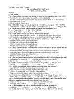 Đề kiểm tra 1 tiết HK2 môn Lịch sử 11 năm 2019-2020 - Trường THPT Chu Văn An